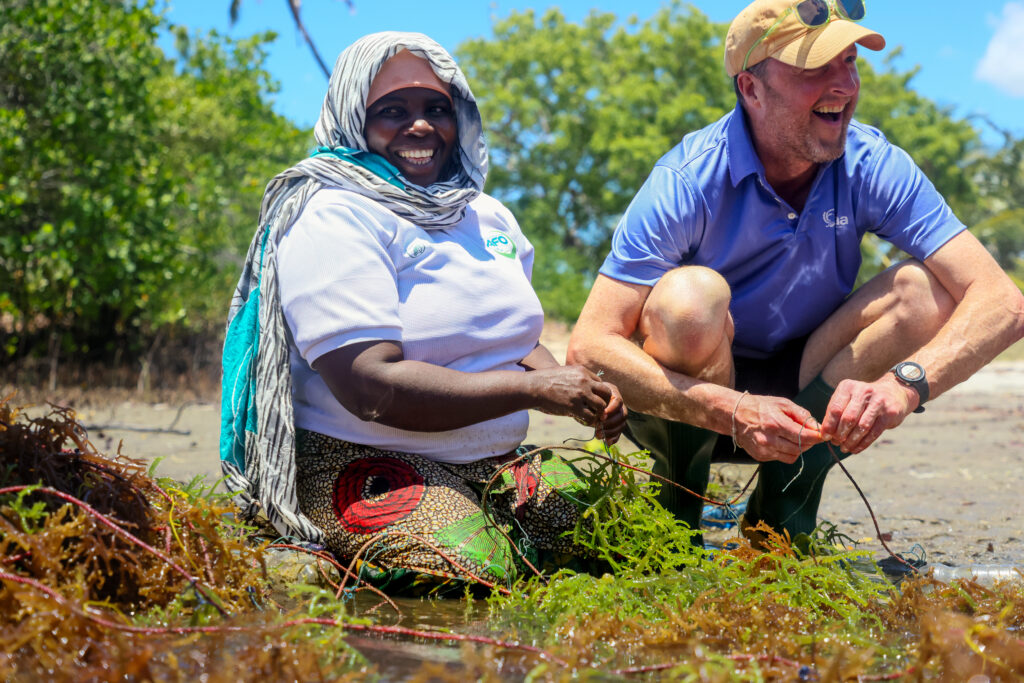 ORRAA working with AFO seaweed farmer