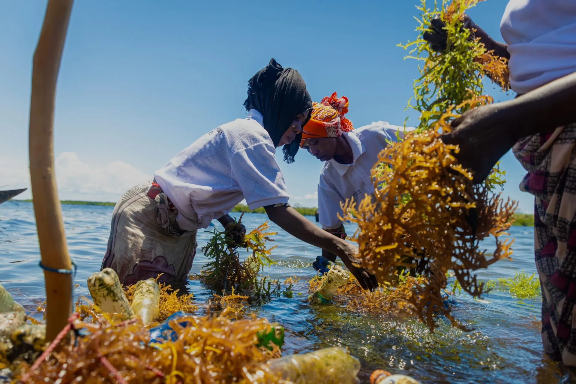 Tanzania. ORRAA visit to Tanga.© ORRAA / Florian Fussstetter