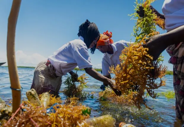 Tanzania. ORRAA visit to Tanga.© ORRAA / Florian Fussstetter