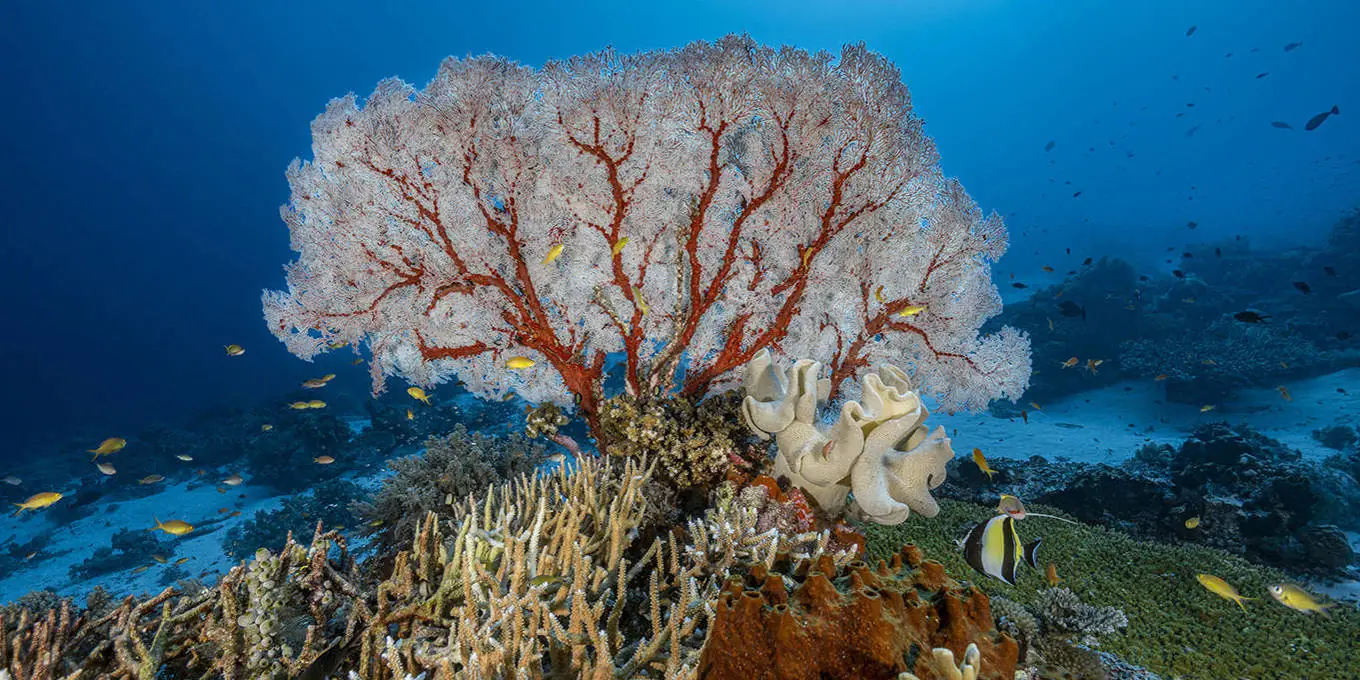 3b339100e0d1dacf5dcd111587e0ac28.2-1-super.1