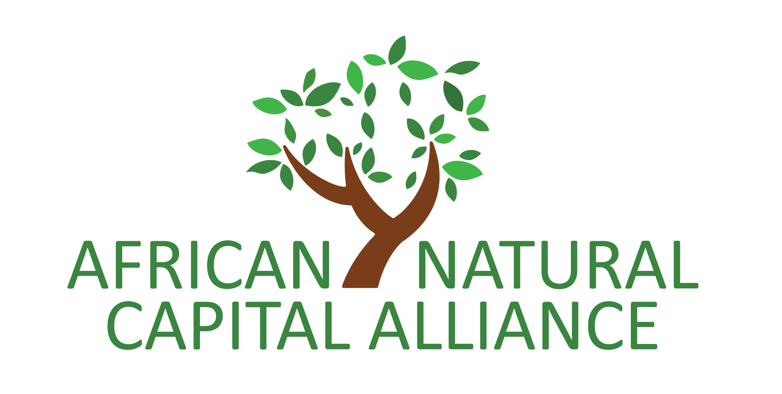 ANCA Logo (004)