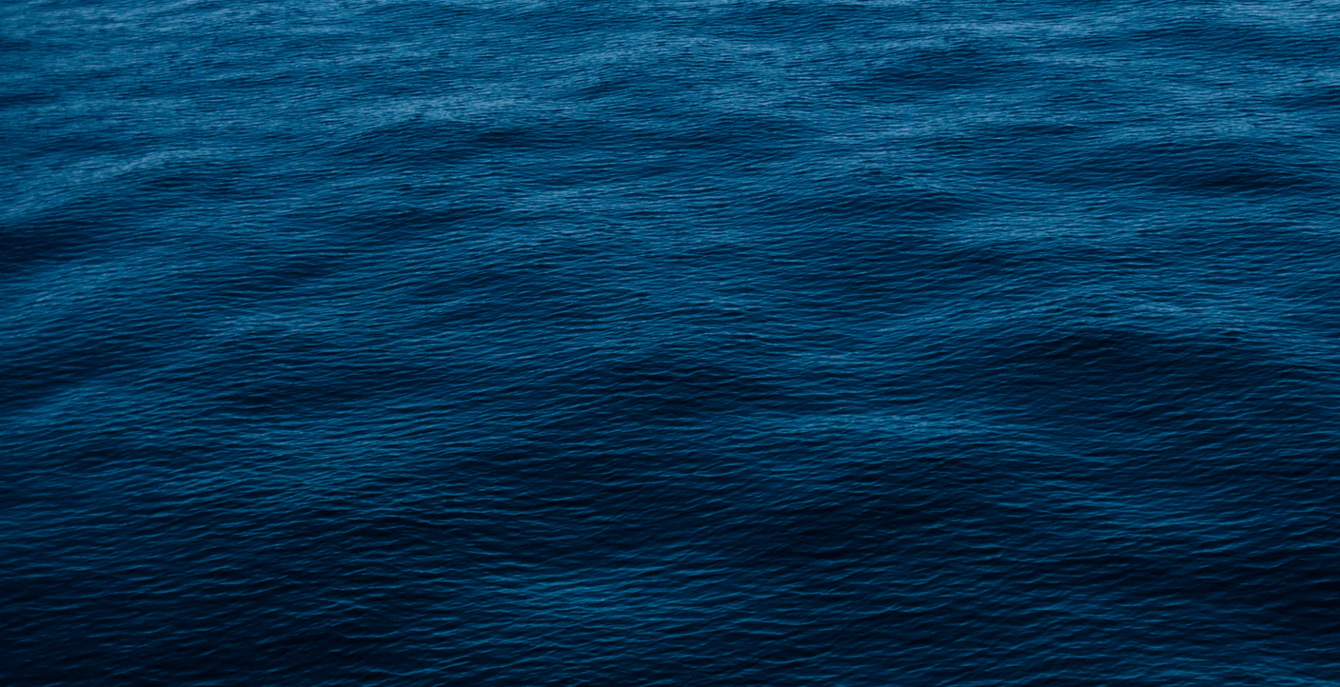 BackBlue
