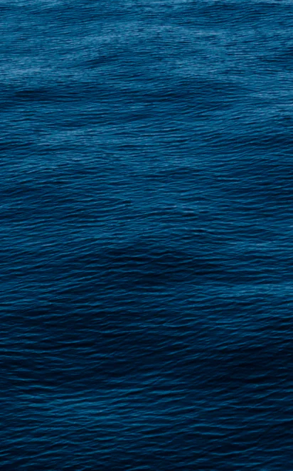 BackBlue