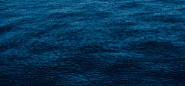 BackBlue