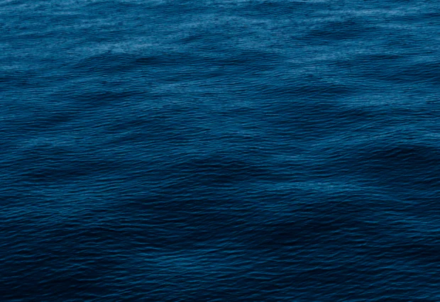 BackBlue