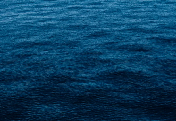 #BackBlue
