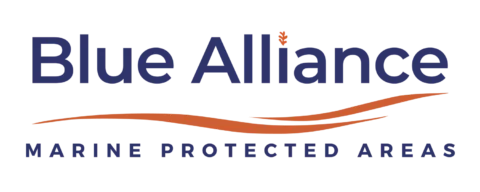 Blue Alliance, logo, colour, Feb 20243