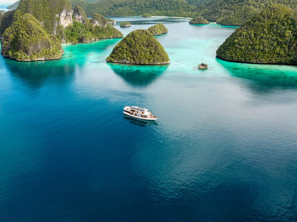 Coral reef landscape