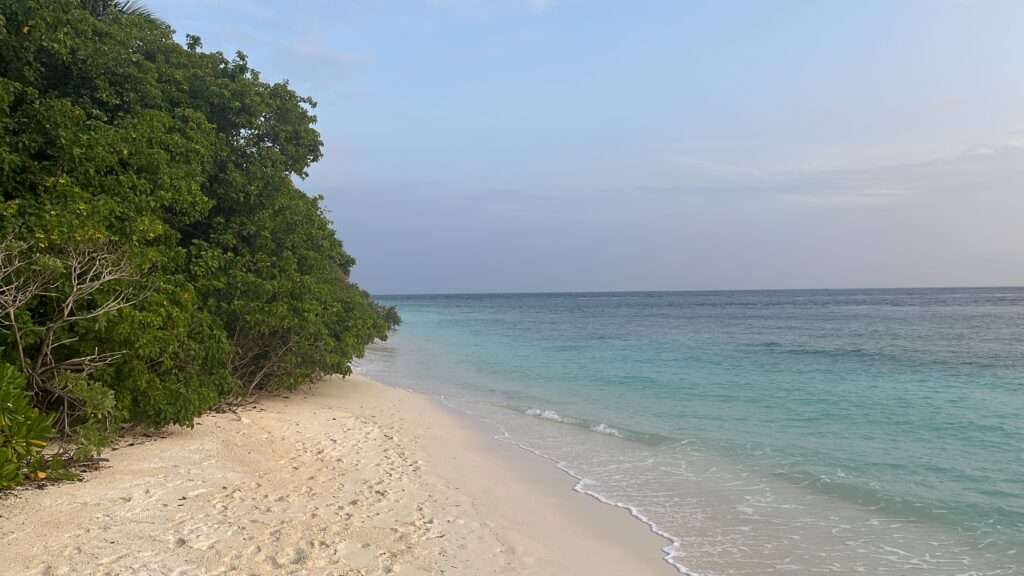 Tropical beach