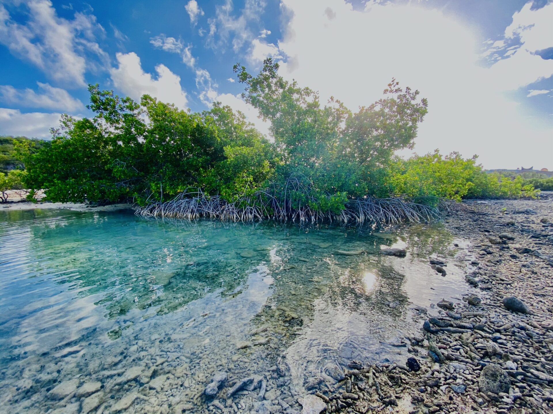 IMG-8334-1