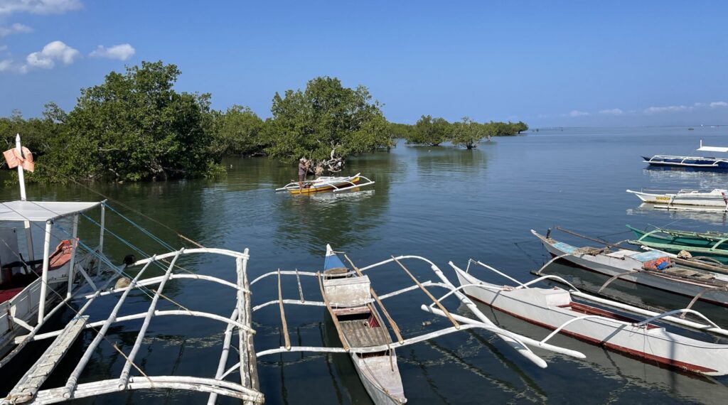 Seaweed farming dinghies