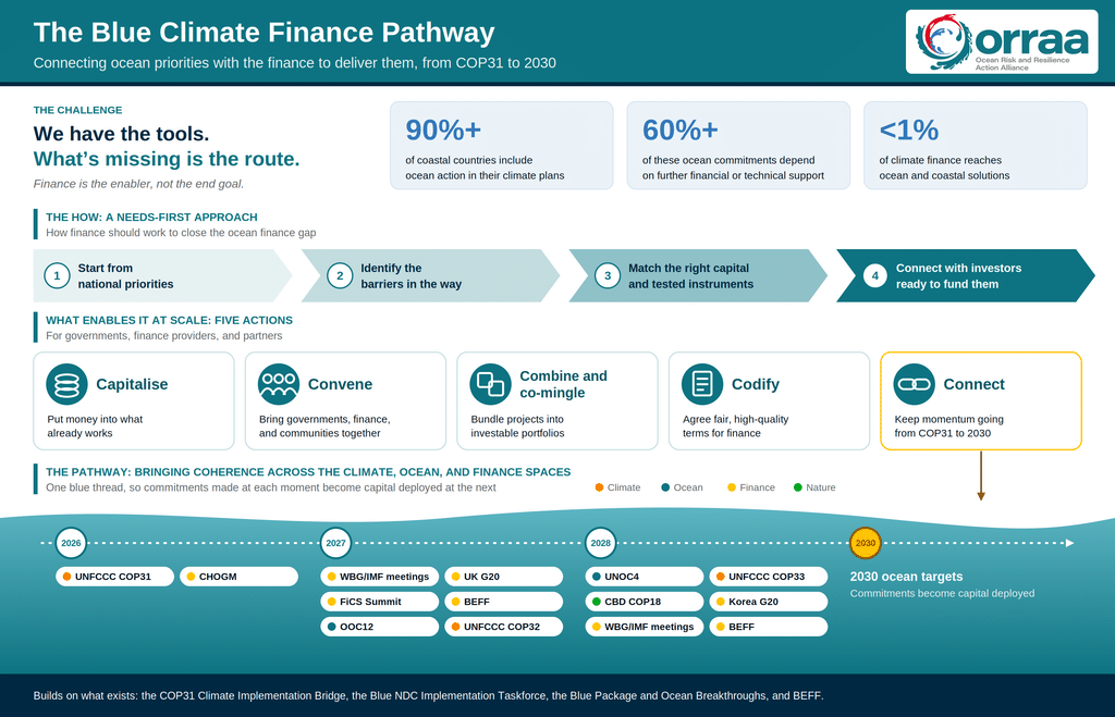 Blue Climate Pathway infographic
