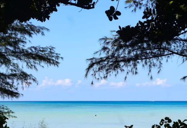 Ocean landscape