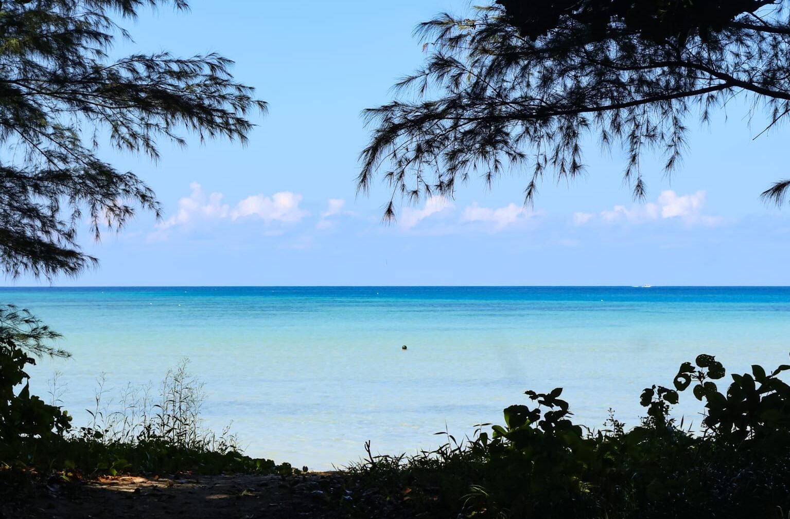 Ocean landscape