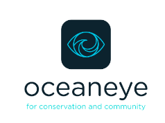 Ocean Eye logo