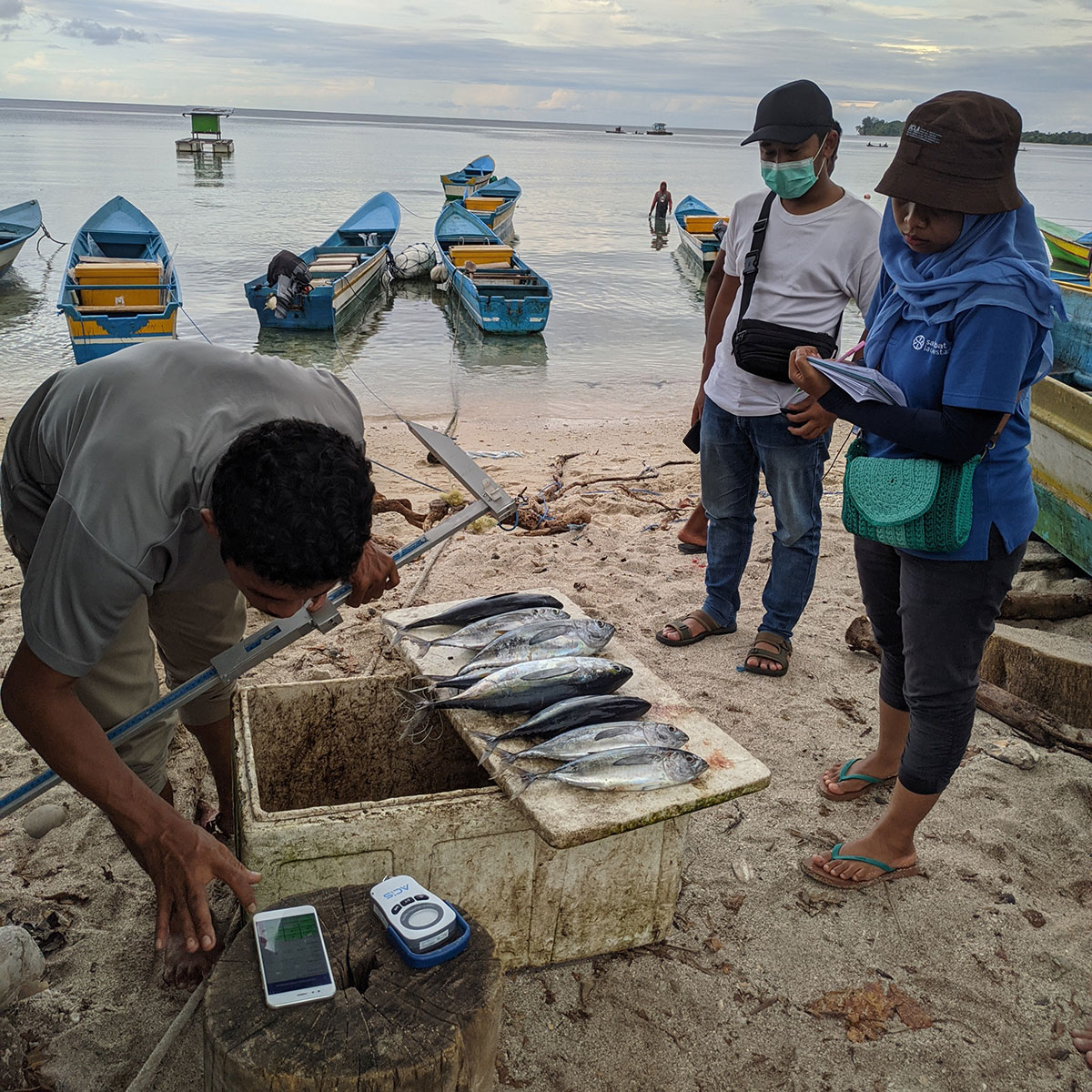 PT-Sahabat-Laut-Lestari—Fish-Port-Sampling-Data-Collection-in-Maluku-(2)