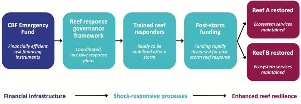 CBF Solution Diagram