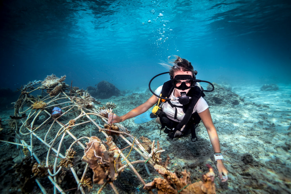 Climate change is impacting ocean ecosystems in a variety of important ways. The Climate Visuals research found that the presence of an identifiable individual in a climate image encourages viewers to make the human connection to the scene portrayed in the image.