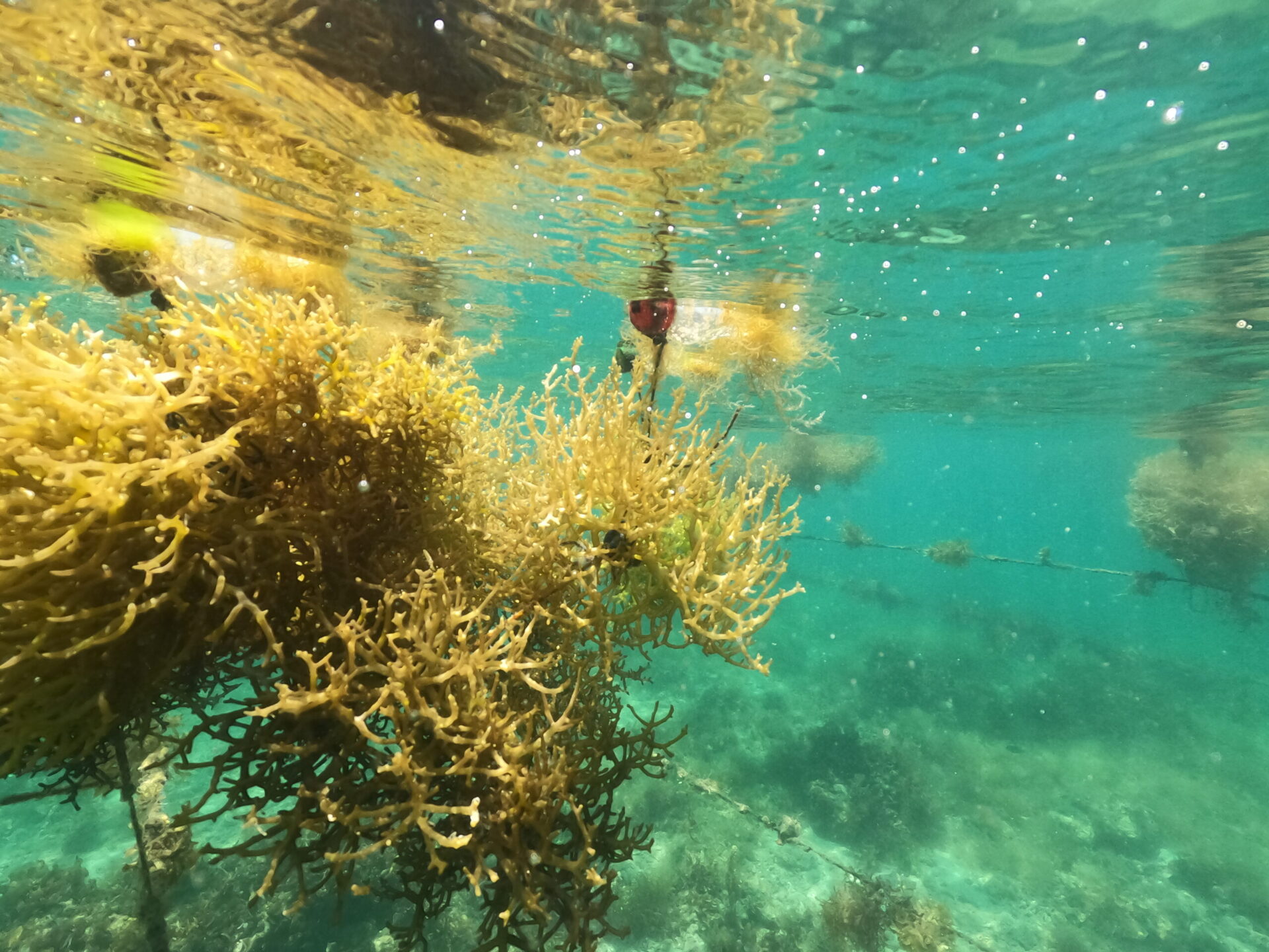DCIM100GOPROGOPR0768.JPG