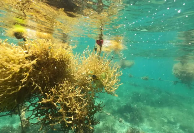 DCIM100GOPROGOPR0768.JPG