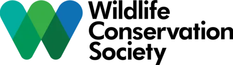 WCS_LOGO_Colour