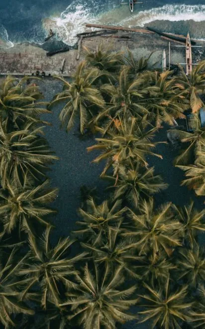 Welcome to The ORRAA News