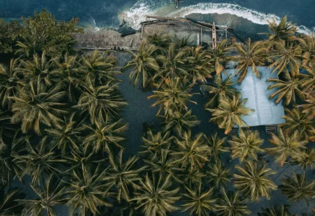 Welcome to The ORRAA News