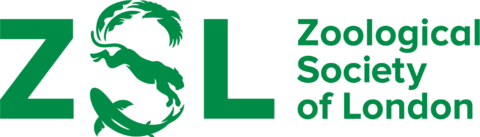 ZSL-wide-seagrass
