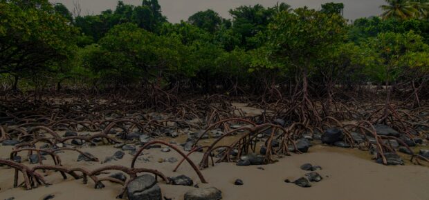 david-clode-R5ZAUNYSr2g-unsplash-scaled