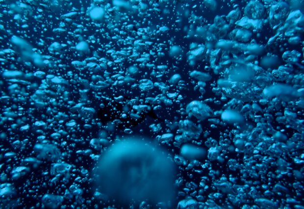 Underwater image