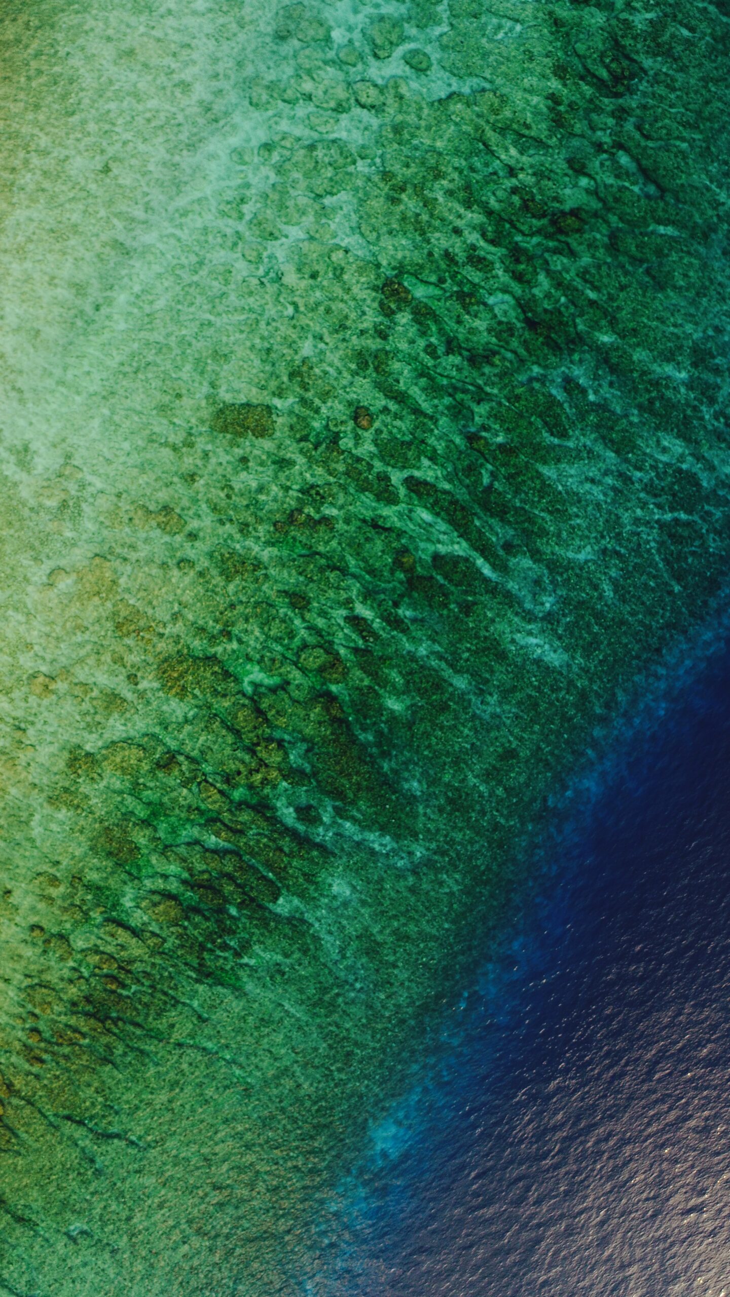 shifaaz-shamoon–EvyJMARpvY-unsplash